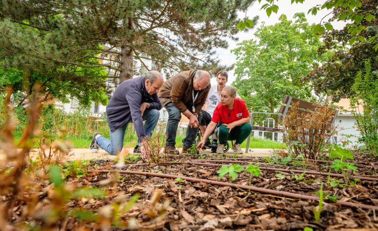 3 Herren erkunden die Natur mit ihrer Pflegerin