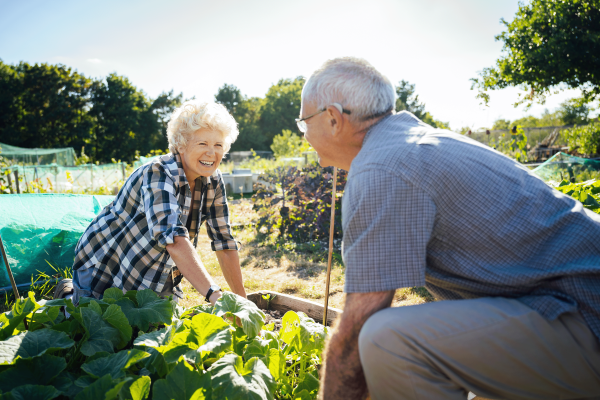 Eine Dame und ein Herr freuen sich bei der Gartenarbeit